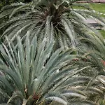 Tarahal Lejlighedshotel